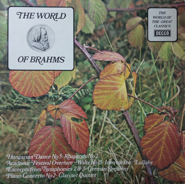 The World Of Brahms