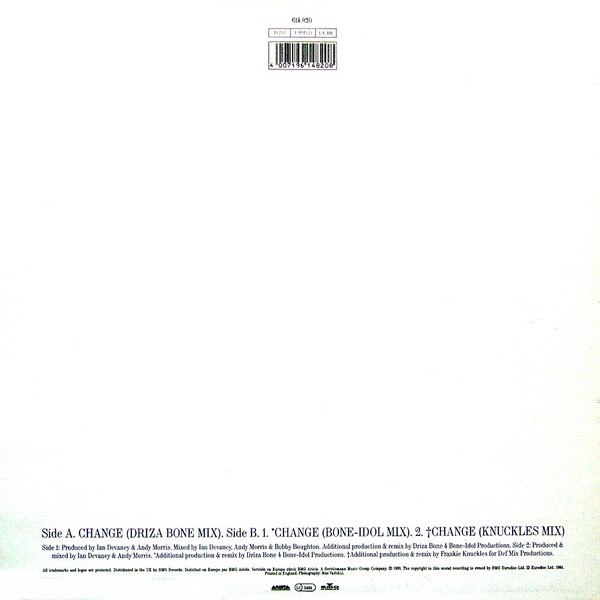 Lisa Stansfield - Change | Arista (614 820) - 2