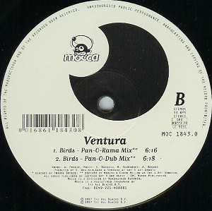 Ventura - Birds | Mocca (MOC 1843.0) - 2 Ventura - Birds | Mocca (MOC 1843.0) - 2