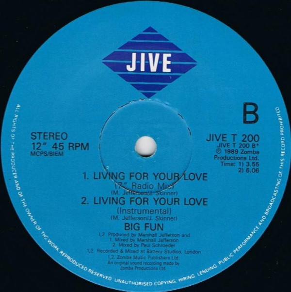 Big Fun - Living For Your Love | Jive (JIVE T 200) - 4