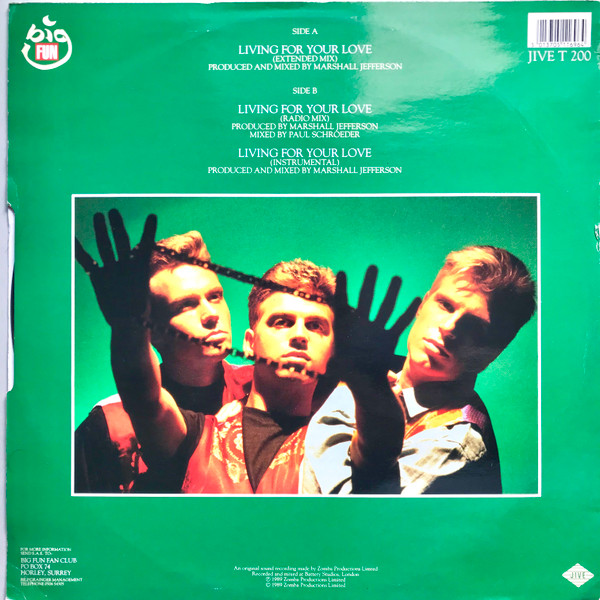 Big Fun - Living For Your Love | Jive (JIVE T 200) - 2