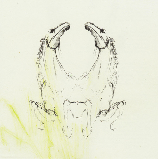 My Brightest Diamond - Tear It Down | Asthmatic Kitty Records (AKR030) - main