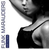 Funk Marauders - Rock My Body | Net's Work International (NWI 140 Mix 2007) - main Funk Marauders - Rock My Body | Net's Work International (NWI 140 Mix 2007) - main