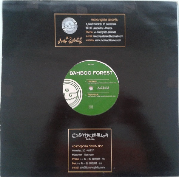 Bamboo Forest - Unusual / Pleonasm | Moon Spirits Records (MSR EP 003) - 4 Bamboo Forest - Unusual / Pleonasm | Moon Spirits Records (MSR EP 003) - 4