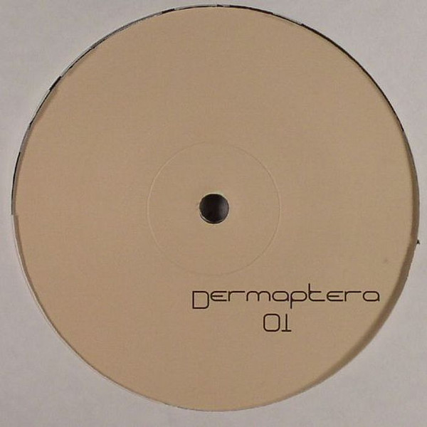 Dermaptera - Dermaptera 1 | Dermaptera (Dermaptera01) - 2 Dermaptera - Dermaptera 1 | Dermaptera (Dermaptera01) - 2