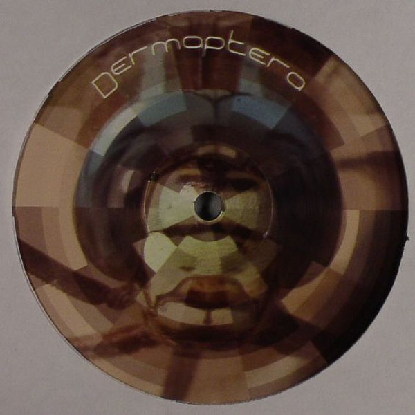 Dermaptera - Dermaptera 1 | Dermaptera (Dermaptera01) - main Dermaptera - Dermaptera 1 | Dermaptera (Dermaptera01) - main