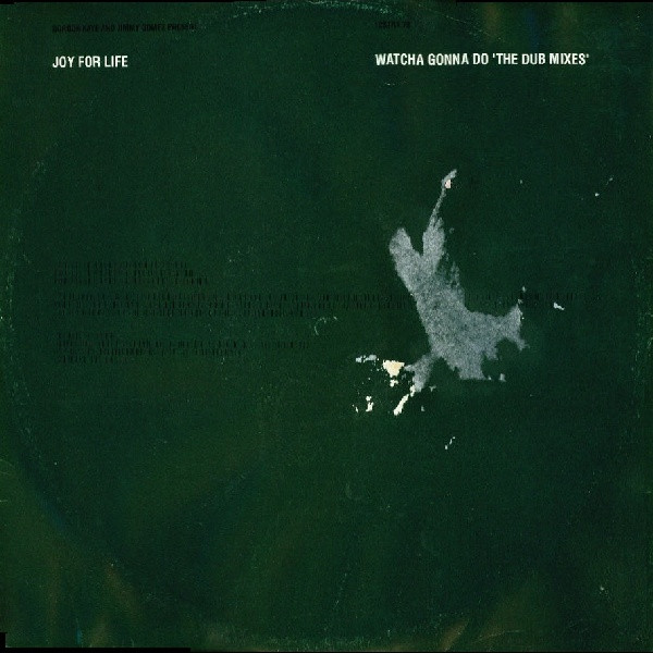 Joy For Life - Watcha Gonna Do (The Dub Mixes) | Stress Records (12 STRX 70)
