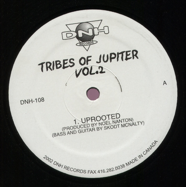 Tribes Of Jupiter - Vol.2 | DNH Records (DNH-108) - main