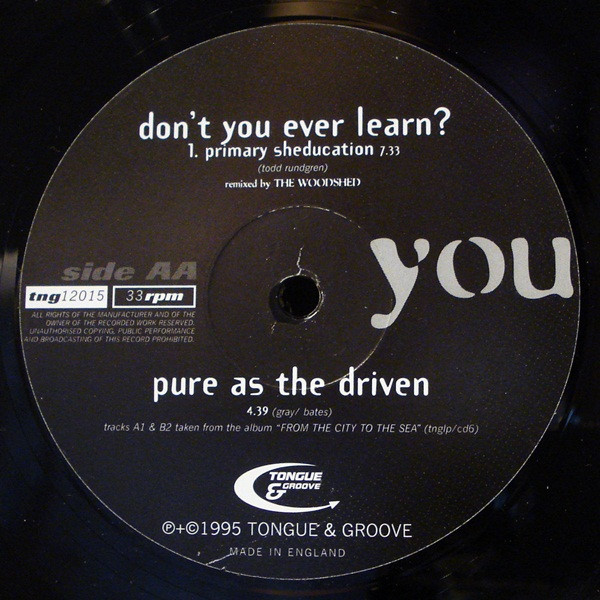 Mighty Truth Featuring Fumilayo Weber-Johnson - Don't You Ever Learn? | Tongue And Groove Records (TNG12015) - 2