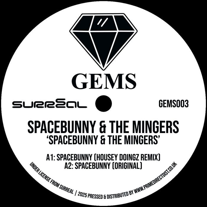 Spacebunny & The Mingers