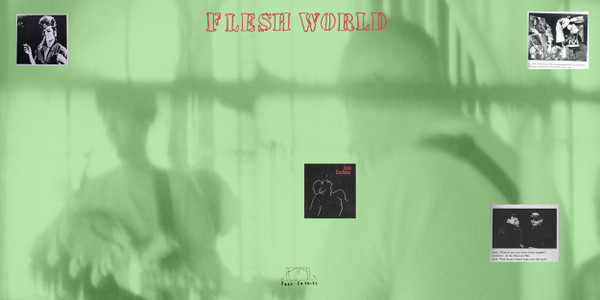 Flesh World - Into The Shroud | Dark Entries (DE-182) - 3