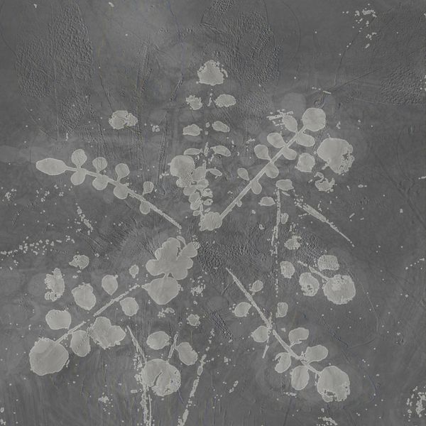 Sabla - Music For Melted Floors | Pensaments Sònics (Sonics01) - main