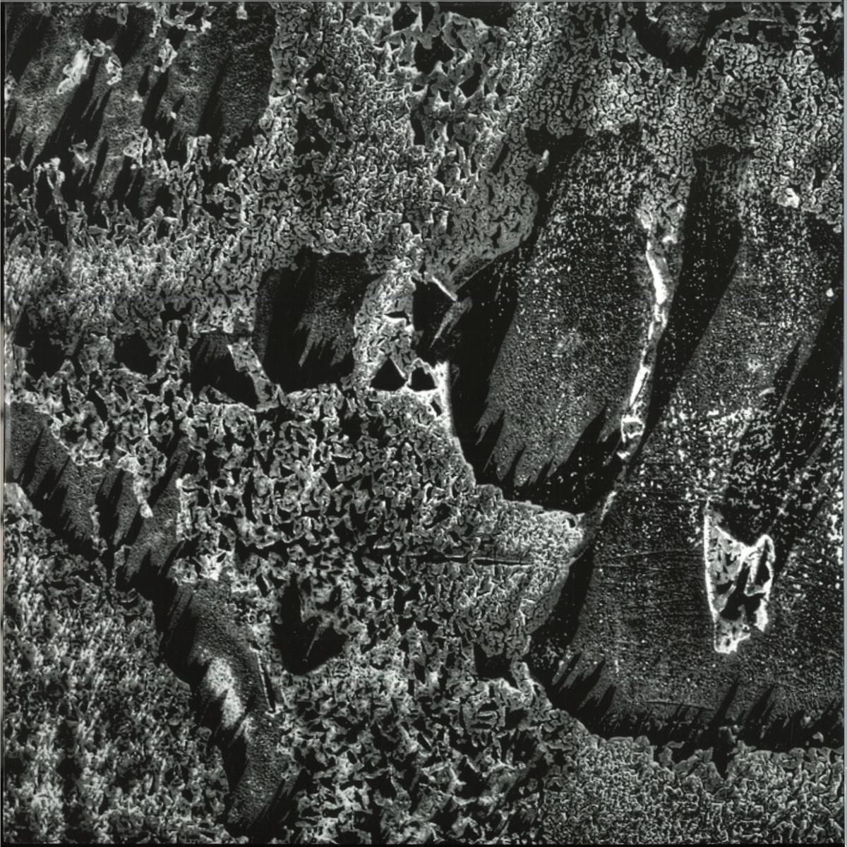 Coaxial System - Institut Night Edt. | Diffuse Reality (DREA024) Coaxial System - Institut Night Edt. | Diffuse Reality (DREA024)