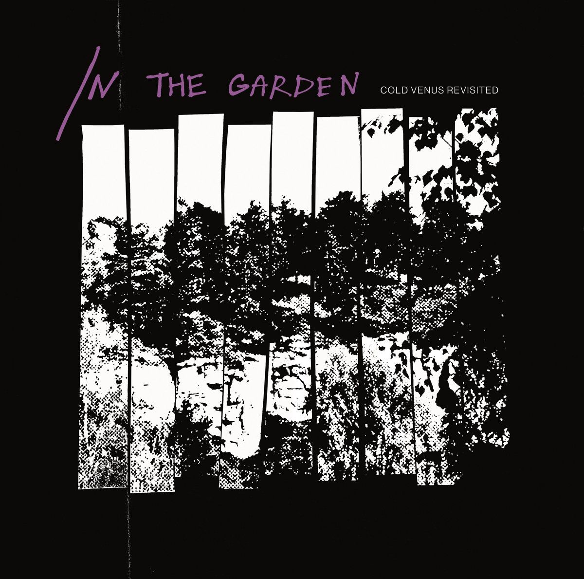 Cold Venus Revisited - In The Garden | Oráculo Records (OR142) - main