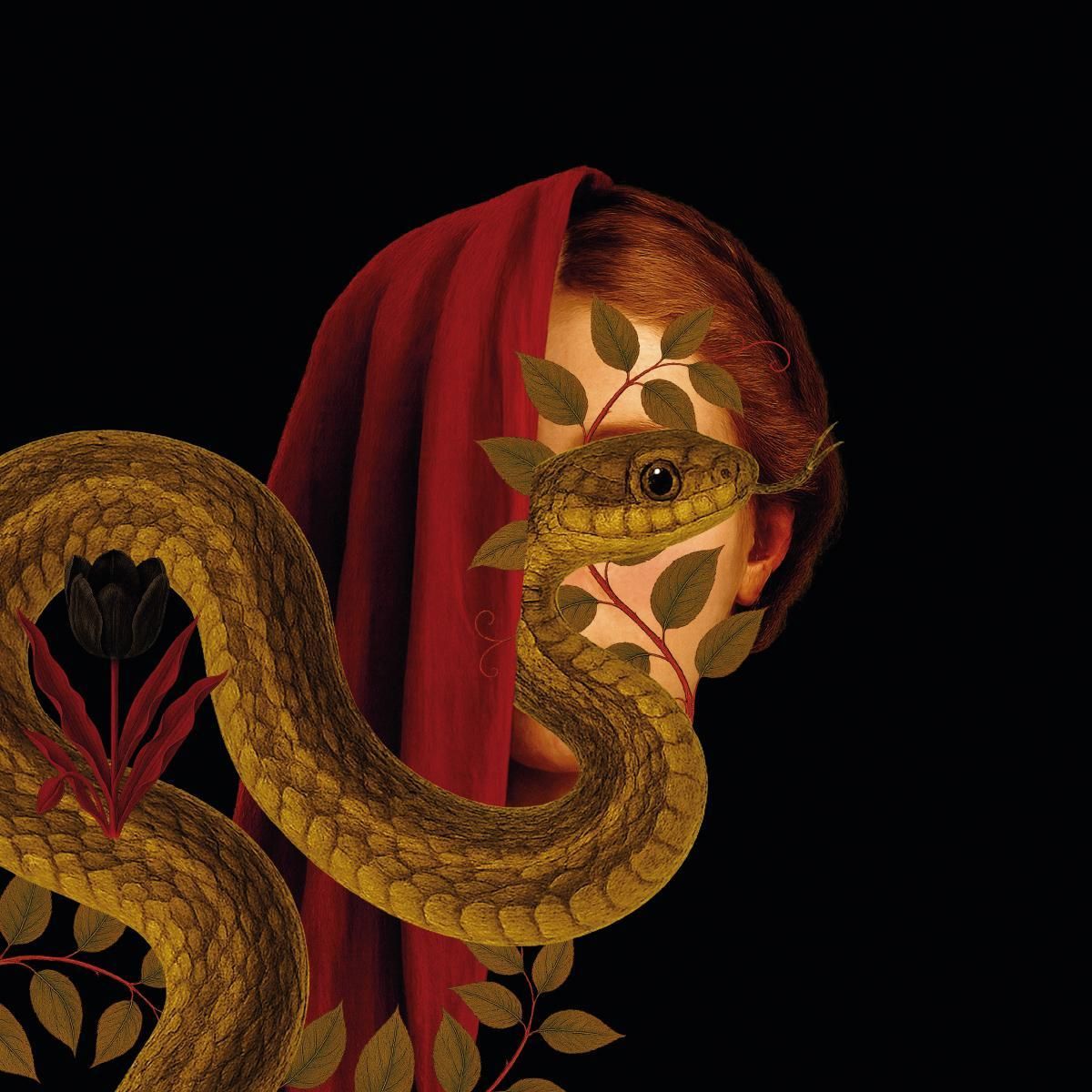 El Joven Prisionero - Persiguiendo Ecos EP | Pole Recordings (POLEGROUP078) - main El Joven Prisionero - Persiguiendo Ecos EP | Pole Recordings (POLEGROUP078) - main