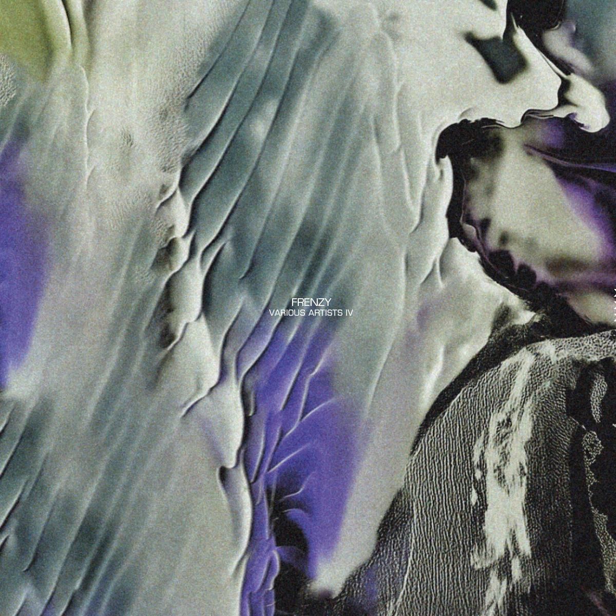 Various - Frenzy Various Artists IV | Frenzy Recordings (FRNZYVA004) - main