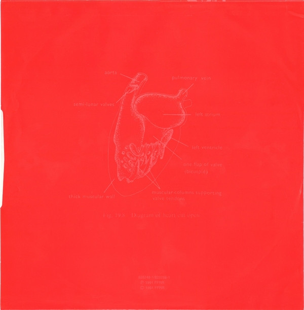 Orbital