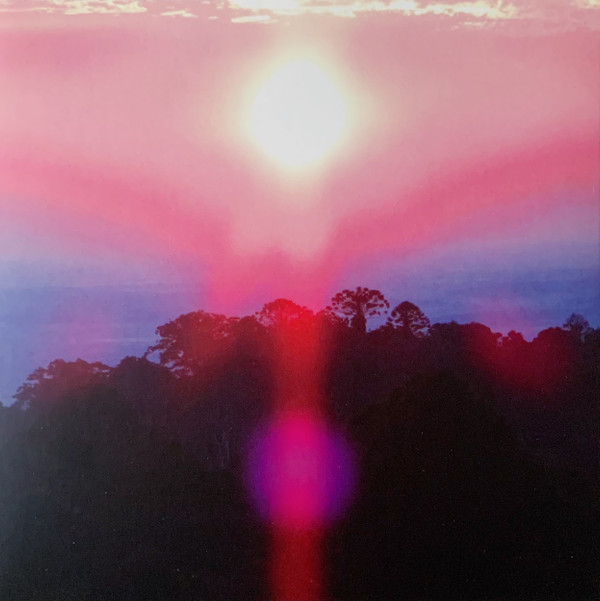 Grouper - Paradise Valley | Yellow Electric (GR-015)