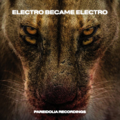 Electro Became Electro