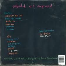 Sebadoh - Act Surprised LP | Dangerbird Records (DGB190-1) - 2 Sebadoh - Act Surprised LP | Dangerbird Records (DGB190-1) - 2