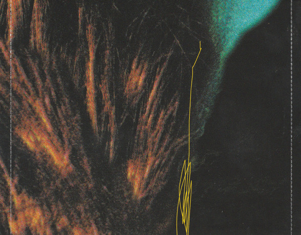 Embryonic