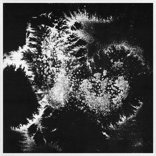 Vera Dvale & Psykovarius - Udu | Sex Tags Amfibia (AMFIBIA 22)
