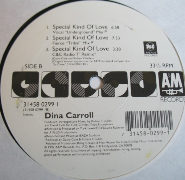 Dina Carroll - Special Kind Of Love | A&M Records (31458 0299 1) - 2