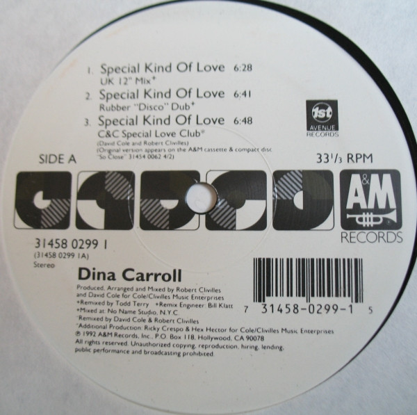 Dina Carroll - Special Kind Of Love | A&M Records (31458 0299 1) - main