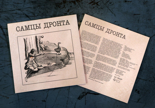 Самцы Дронта