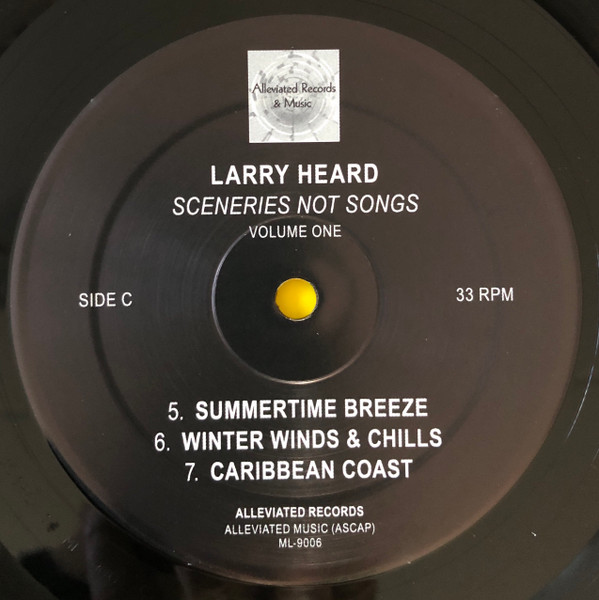 Larry Heard - Sceneries Not Songs, Volume One | Alleviated Records (ML-9006) - 5 Larry Heard - Sceneries Not Songs, Volume One | Alleviated Records (ML-9006) - 5