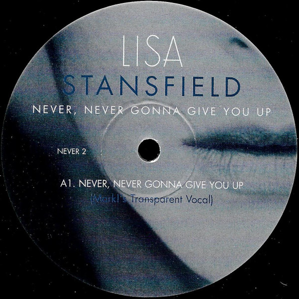 Never, Never Gonna Give You Up (Mark Picchiotti Remixes)