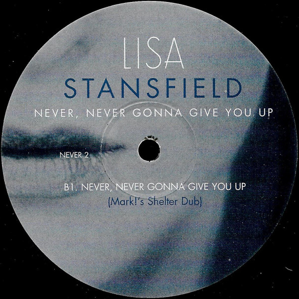 Never, Never Gonna Give You Up (Mark Picchiotti Remixes)