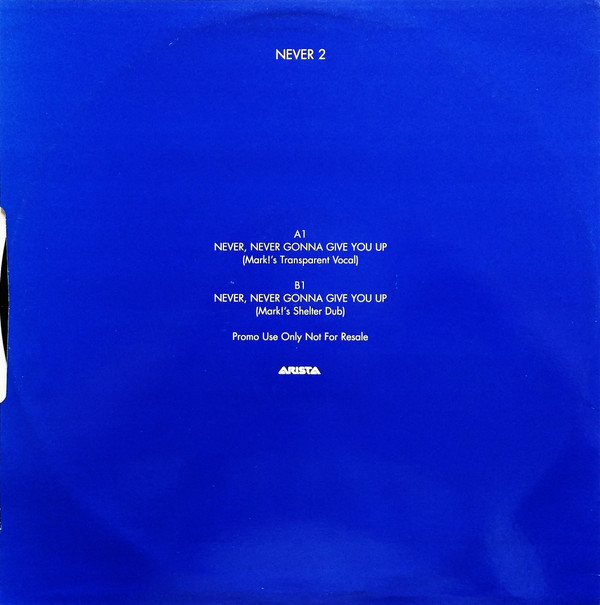 Never, Never Gonna Give You Up (Mark Picchiotti Remixes)