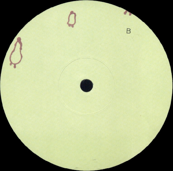 Die Transsylvanische Verwandte Ist Da (Remixes)