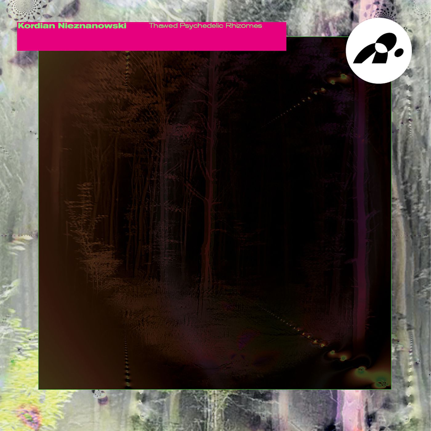 Kordian Nieznanowski - Thawed Psychedelic Rhizomes | Nottetempo (NTT007)