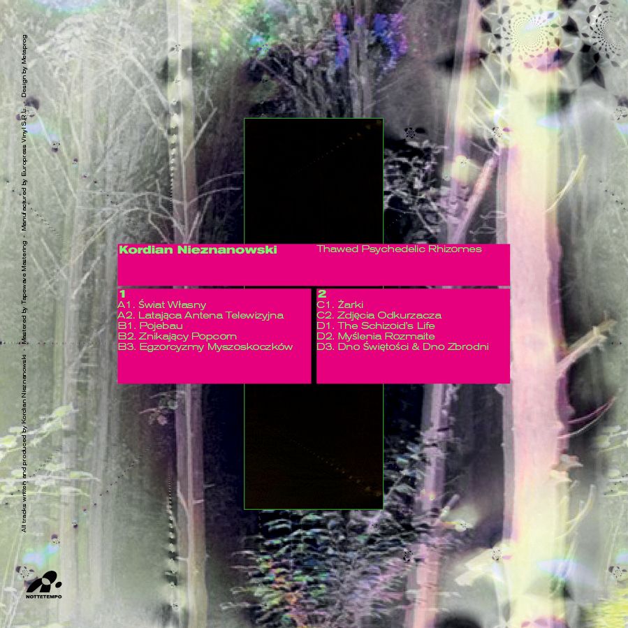 Kordian Nieznanowski - Thawed Psychedelic Rhizomes | Nottetempo (NTT007) - 2 Kordian Nieznanowski - Thawed Psychedelic Rhizomes | Nottetempo (NTT007) - 2