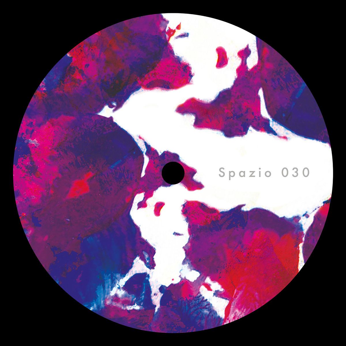 Adiel - (What You Want) Is Music EP | Spazio Disponibile (030)