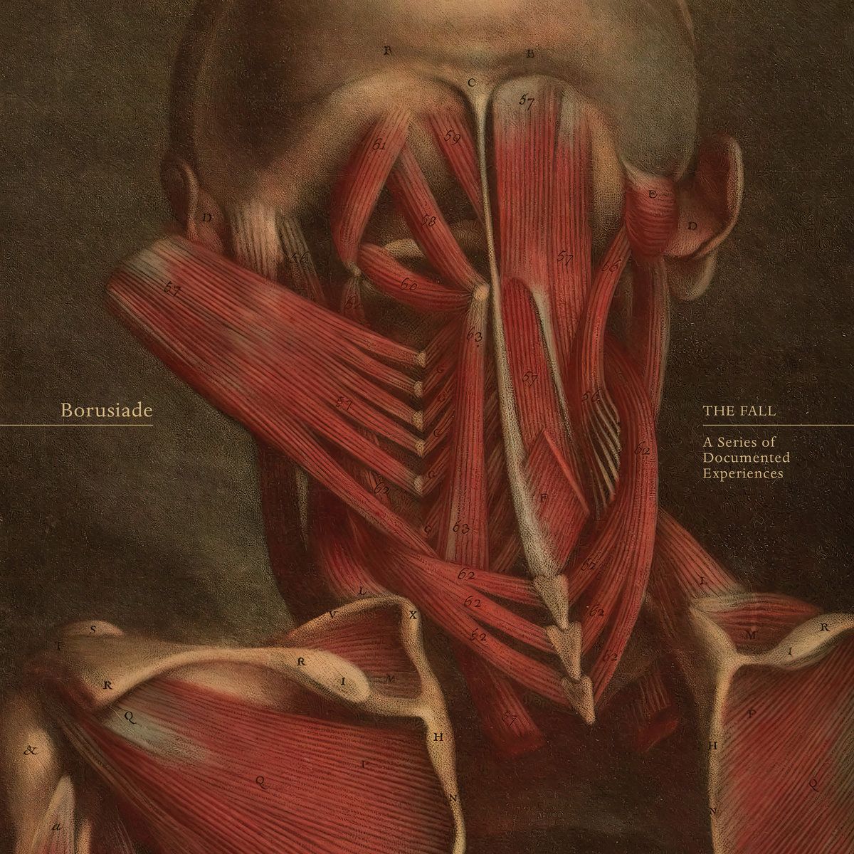 Borusiade - The Fall: A Series Of Documented Experiences | Dark Entries Records (DE-326) - main