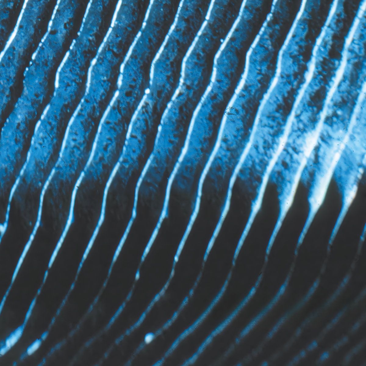 Monolake - Gravity | Field Records (Field 37)