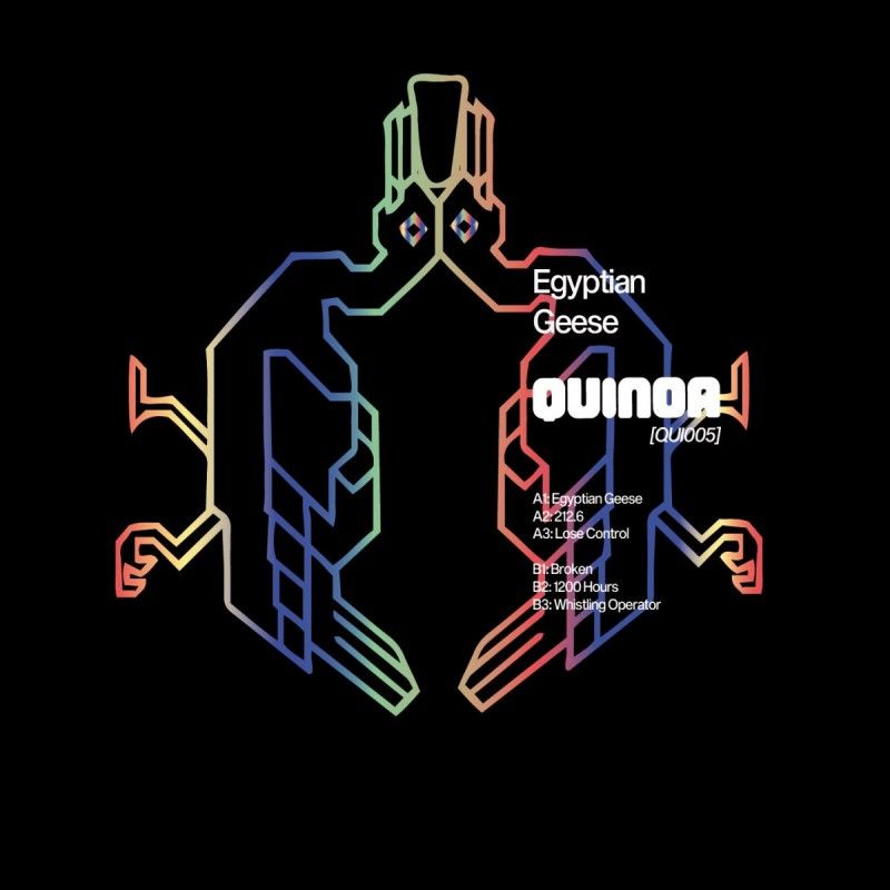 Akyki - Egyptian Geese | Quinoa Cuts (QUI005) - 2