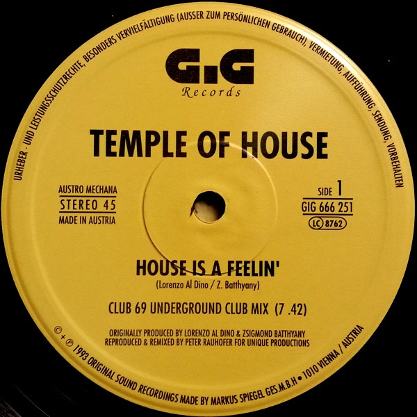 Temple Of House - House Is A Feelin' | GiG Records (GIG 666 251)