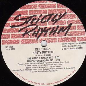 Def Touch - What Is H.O.U.S.E. / Nasty Rhythm | Strictly Rhythm (SR 1264)