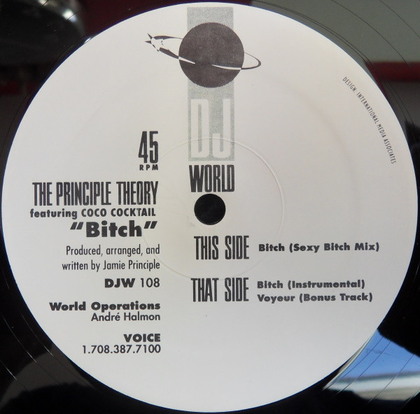 The Principle Theory Featuring Coco Cocktail - Bitch | D.J. World Records (DJW 108)