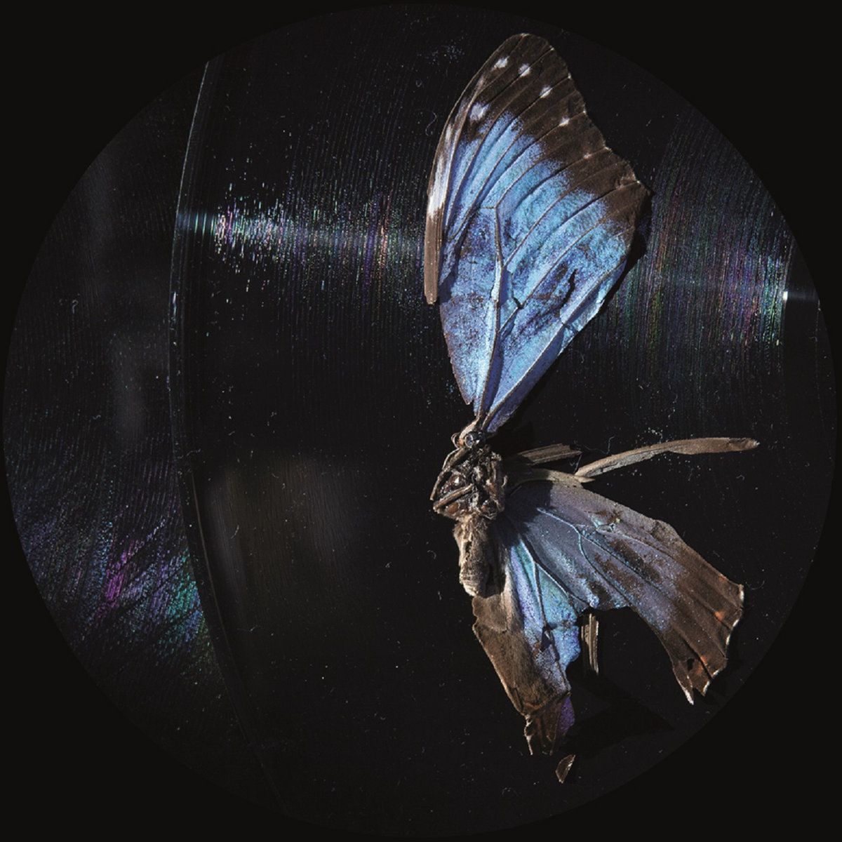 Ben Buitendijk - Past And Present EP | Oblique Music (OBQ002)