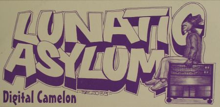 Lunatic Asylum - Digital Cameleon | Dance Ecstasy 2001 (DE 2039 GOLD) - 2