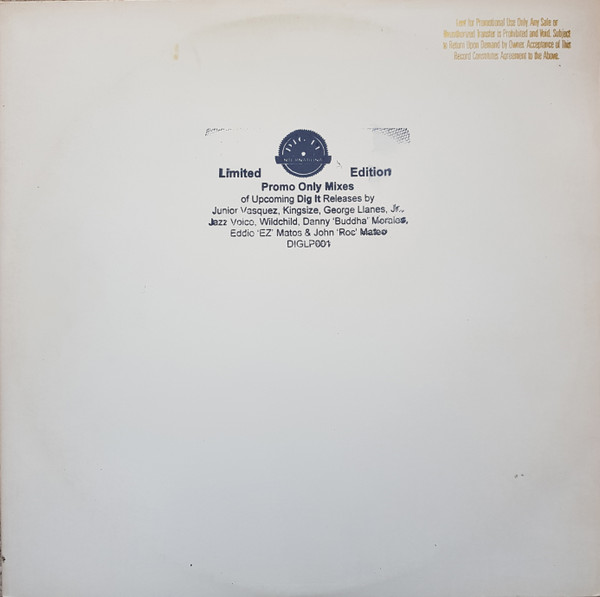 Various - Dig It International 1995 Club Compilation | Dig It International (DIGLP 001) - main