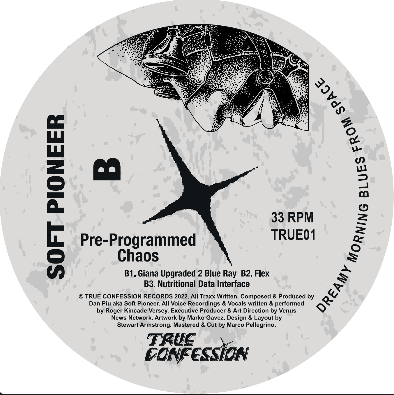 Various Artists - Pre-Programmed Chaos LP | True Confession Records (TRUE01) - 2 Various Artists - Pre-Programmed Chaos LP | True Confession Records (TRUE01) - 2