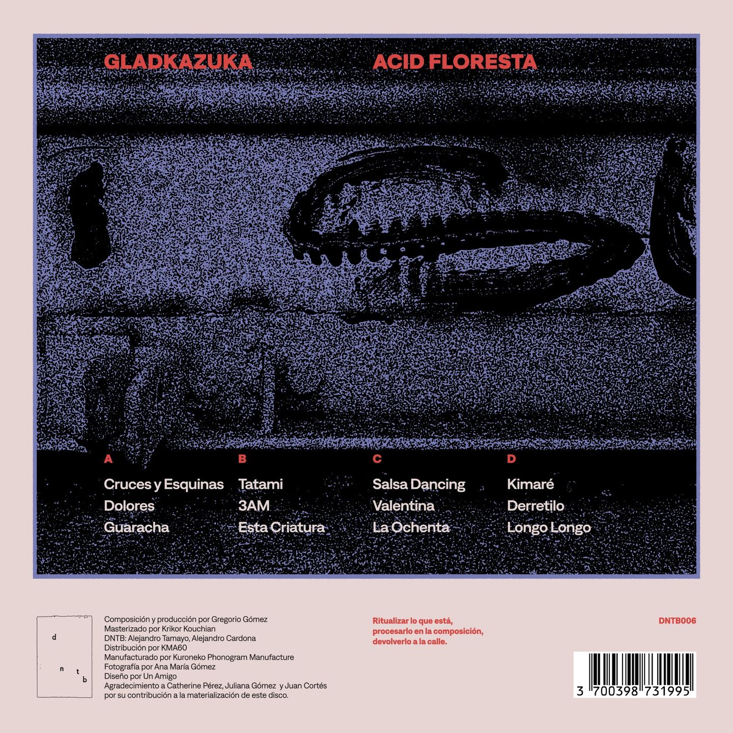 gladKazuka - Acid Floresta | Discos Nutabe (DNTB006) - 2 gladKazuka - Acid Floresta | Discos Nutabe (DNTB006) - 2