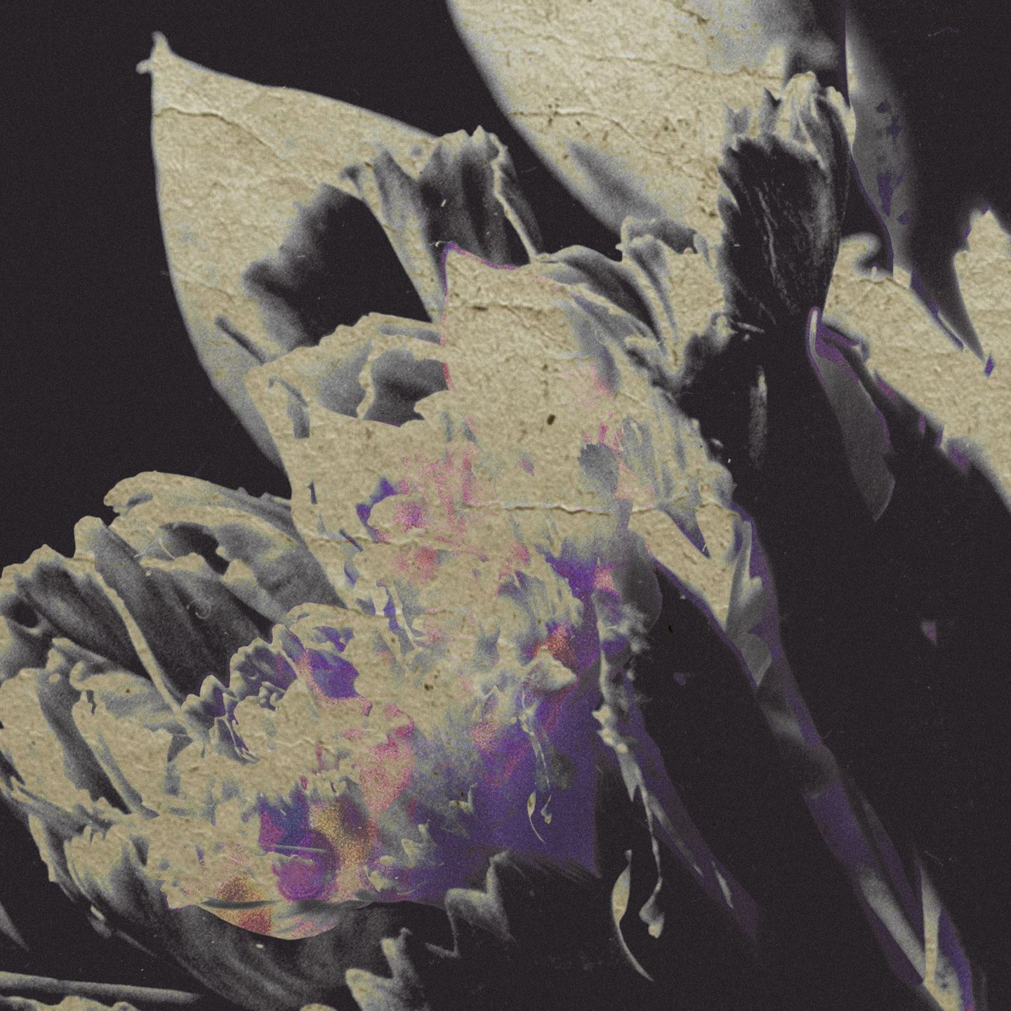 Various - traversée 04 - moving silhouettes | traverse (TRV12)