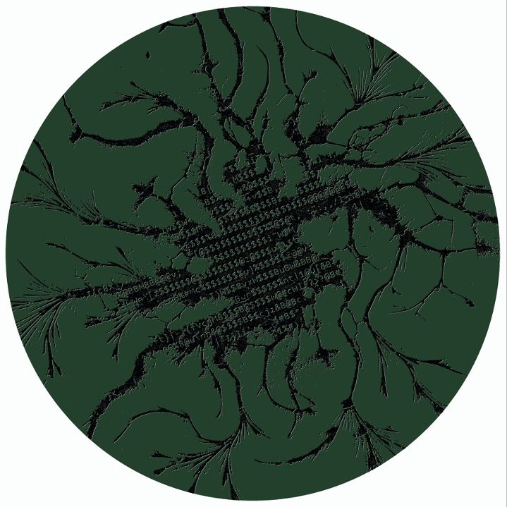 Reshio & Toke & DJ Astrobee & Levan Grdzelidze - Binary Revolutions | Glispy Records (GLSPV001 ) - 2 Reshio & Toke & DJ Astrobee & Levan Grdzelidze - Binary Revolutions | Glispy Records (GLSPV001 ) - 2